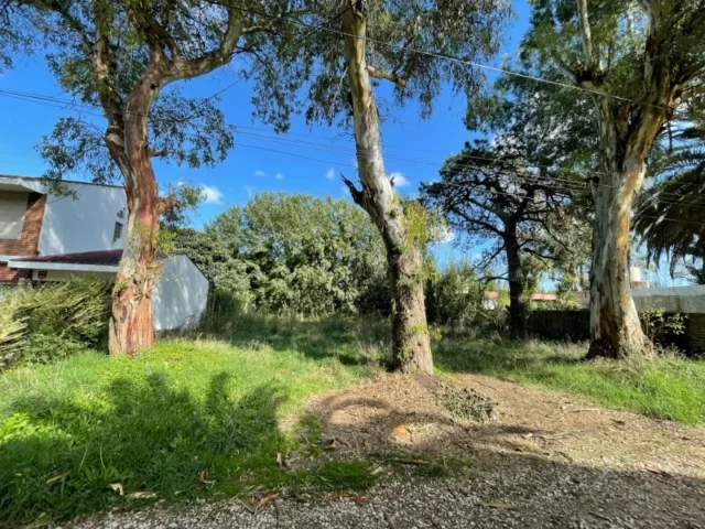 Lotes y terrenos en Venta — Plus Ultra 2170