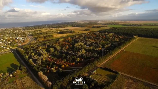 Lotes y terrenos en Venta — Los olmos 51