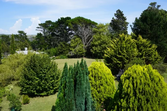 Lotes y terrenos en Venta — 453H+G3 Barrio Colinas Verdes