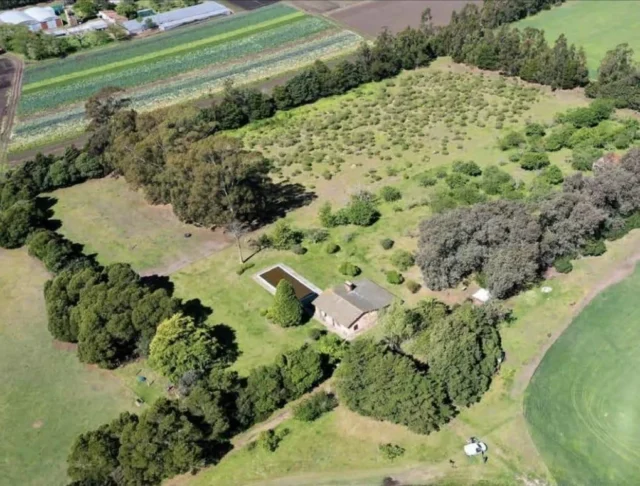 Campos y chacras en Venta — Ruta 88