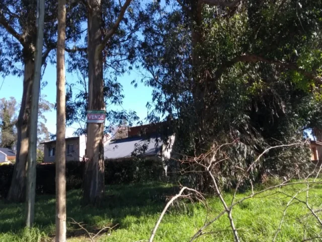 Lotes y terrenos en Venta — Sicilia esquina Pescadores