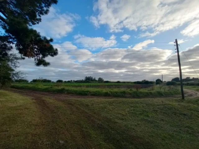 Quintas en Venta — Ruta 226