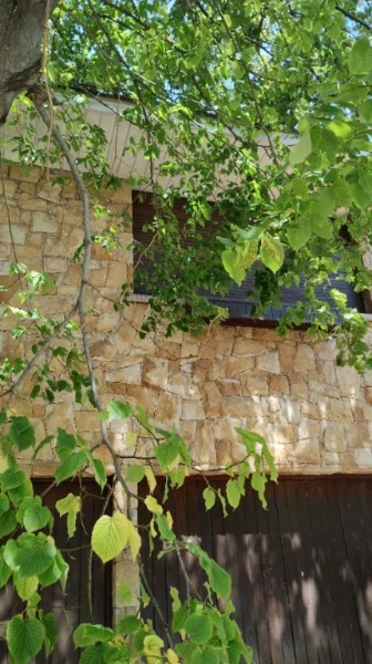 PH en Alquiler — Vieytes 2968