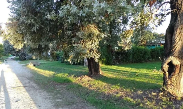 Lotes y terrenos en Venta — LAS FOCAS 300