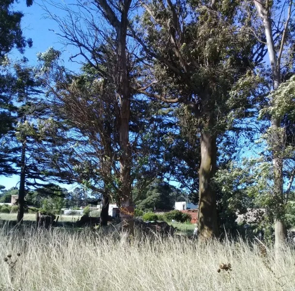 Lotes y terrenos en Venta — C. 513 4707