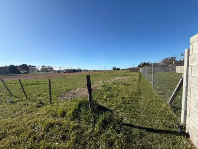 Lotes y terrenos en Venta — Viedma