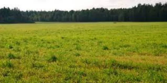 Lotes y terrenos en Venta — LAS DALIAS