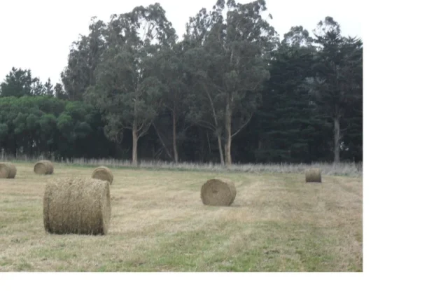 Lotes y terrenos en Venta — AV. Argentina y Arturo