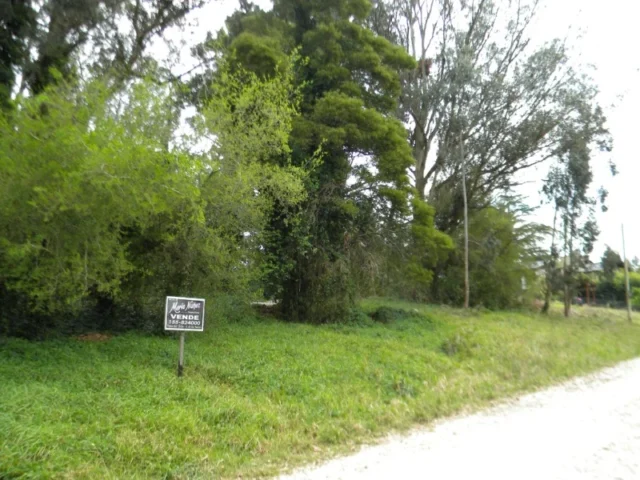 Lotes y terrenos en Venta — Armando