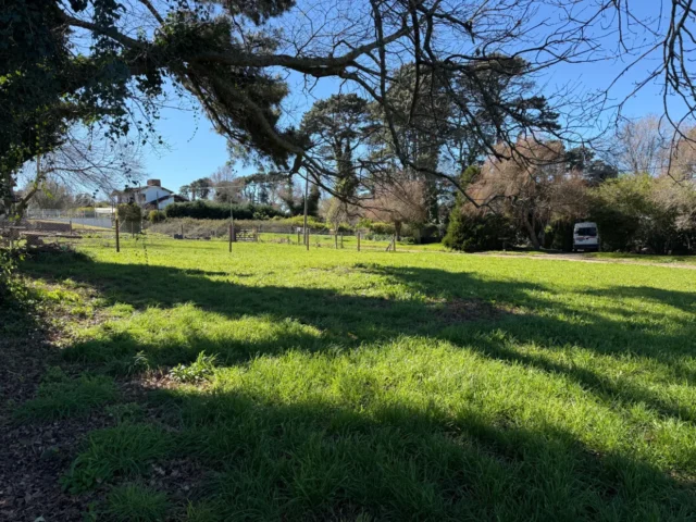 Lotes y terrenos en Venta — IGNACIO
