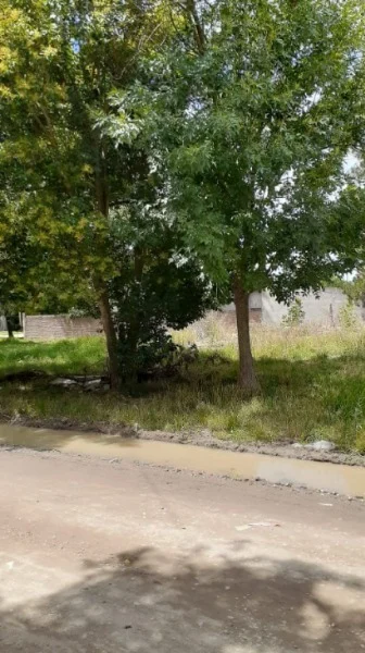 Lotes y terrenos en Venta — Mac Gual 1400