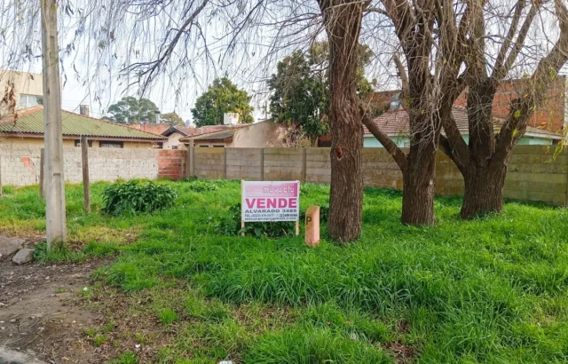 Lotes y terrenos en Venta — Heguilor y San Salvador