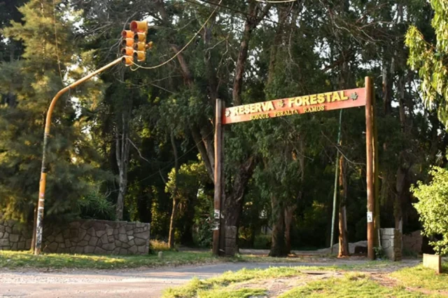 Lotes y terrenos en Venta — las caroyas y mangore