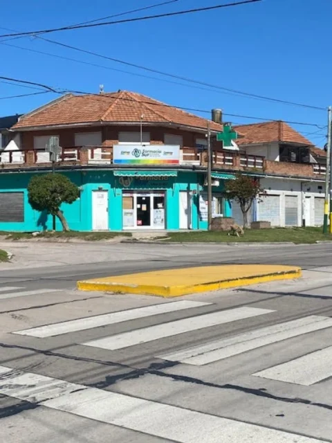Locales en Venta — mario bravo 502