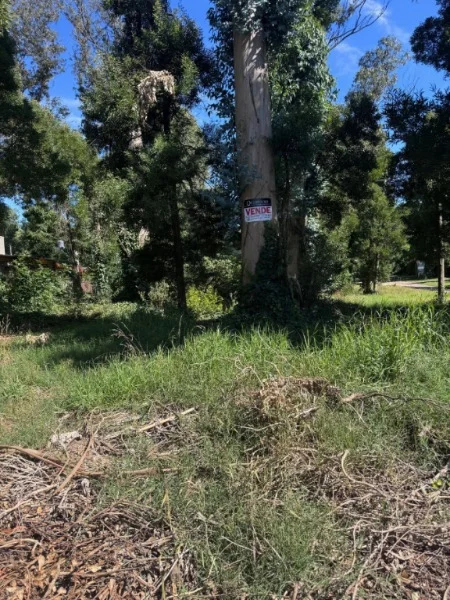 Lotes y terrenos en Venta — Yanquetruz esq Caroyas