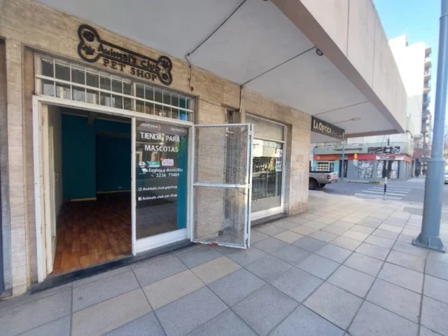 Locales en Venta — Moreno 2900
