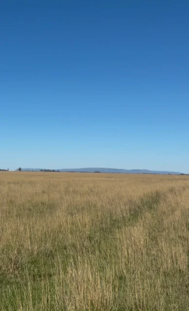 Campos y chacras en Venta — Ruta 55