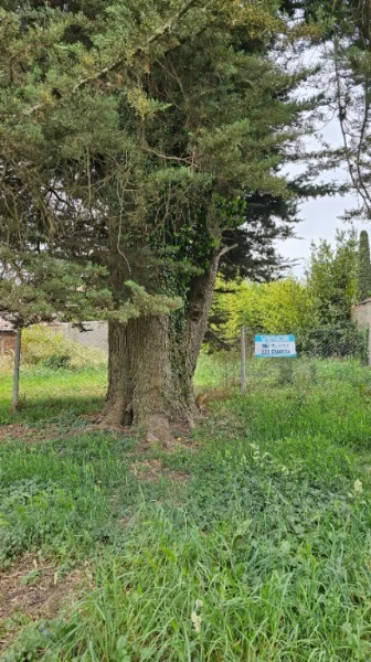 Lotes y terrenos en Venta — El pampero
