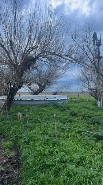 Campos y chacras en Venta — GH66+H4V Ramos Otero, Provincia de Buenos Aires
