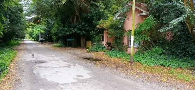 Casas, chalets en Venta — C. A Gallardo 1584