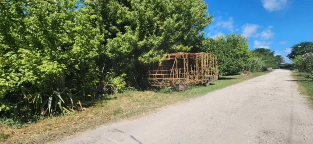 Lotes y terrenos en Venta — Calle Sta. Rosa 4785