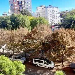Departamentos, pisos y semipisos en Alquiler — Diagonal Pueyrredon Nro.2900