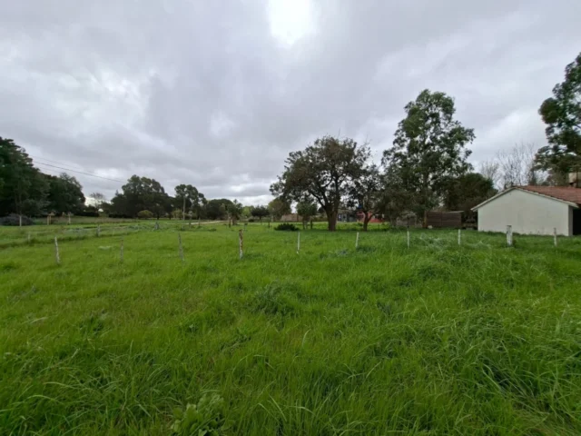 Lotes y terrenos en Venta — Diagonal 66 y 8